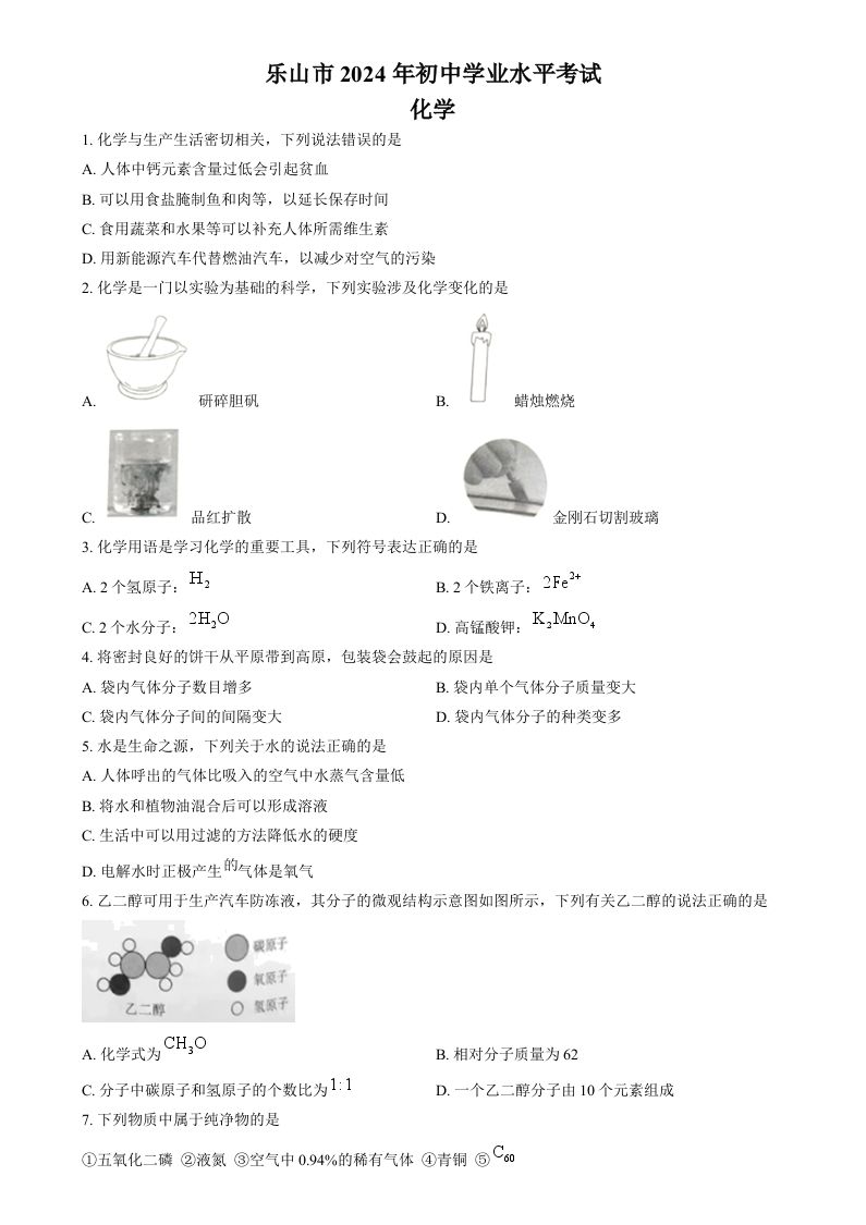 2024年四川省乐山市中考化学真题（空白卷）