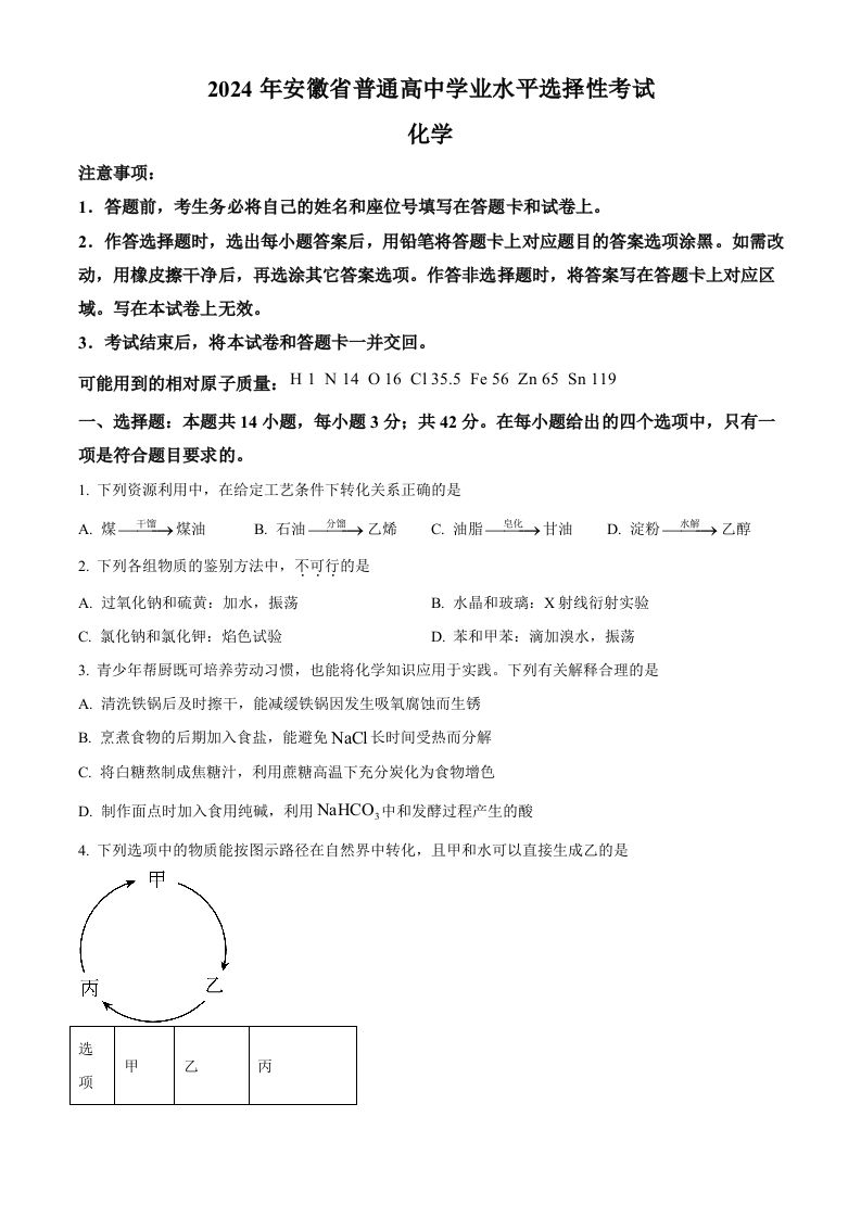 2024年高考化学试卷（安徽）（空白卷）