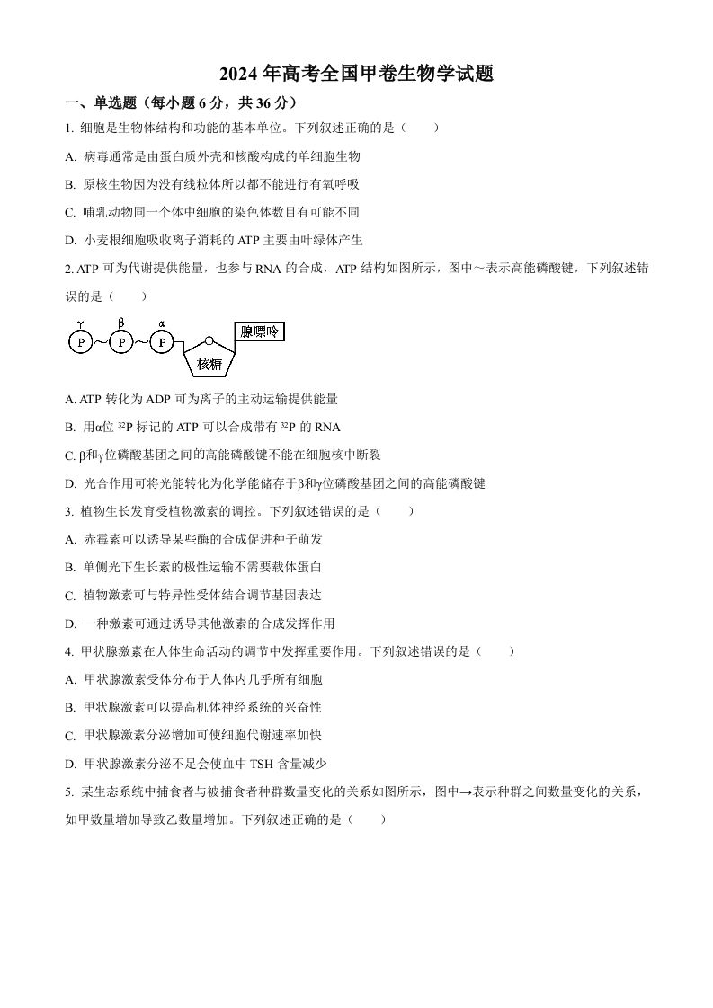 2024年高考生物试卷（全国甲卷）（空白卷）