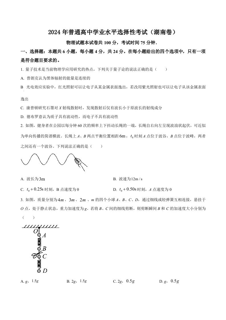 2024年高考物理试卷（湖南）（空白卷）