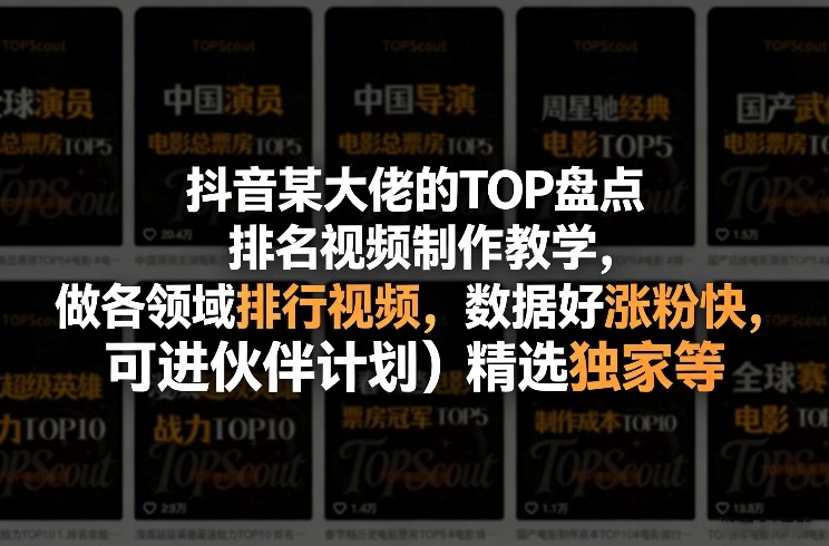 某音某大佬的TOP盘点排名视频制作，做各领域排行视频，数据好涨快，可进伙伴计划＋精选独家等