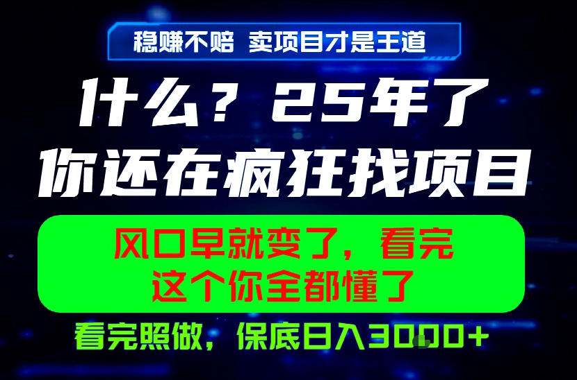 26年，请不要疯狂的找项目做了！卖项目才是真的稳賺不赔，看完照做，保底一天1k+【揭秘】