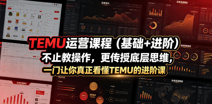 TEMU运营课程（基础+进阶），不止教操作，更传授底层思维，一门让你真正看懂TEMU的进阶课