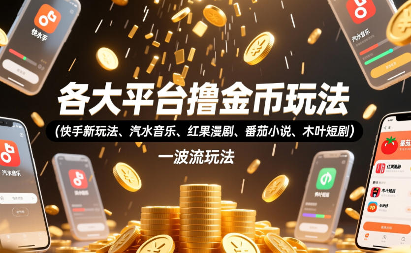 各大平台币玩法（某手新玩法、汽水音乐、红果漫剧、番茄小说、木叶短剧），一波流玩法（收费398元的教程）