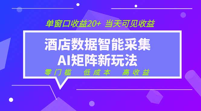 （19041期）2026酒店数据采集ai智能矩阵新风口 低成本 高收益 当天见收益 单窗口20+