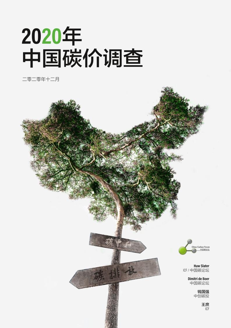 2020年中国碳价调查