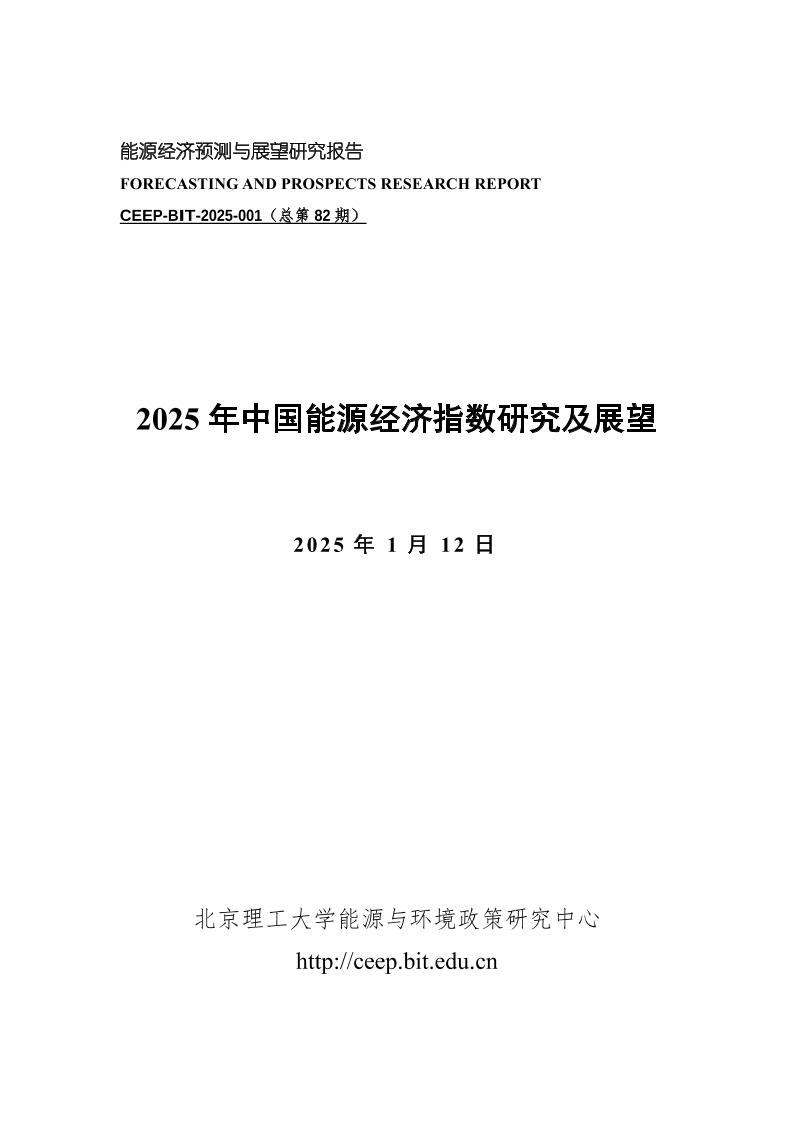 2025年中国能源经济指数研究及展望
