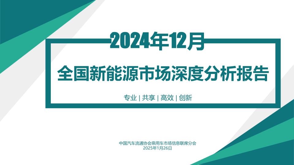 2024年12月份全国新能源市场深度分析报告