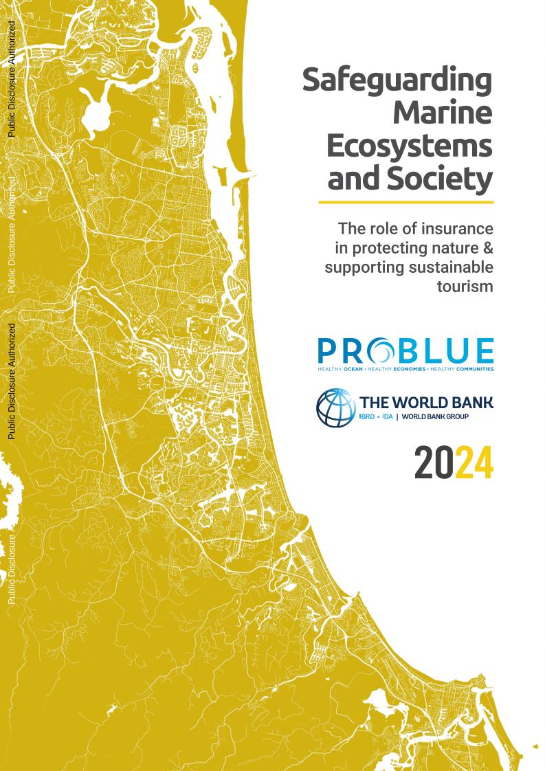 世界银行-保护海洋生态系统和社会：保险在保护自然和支持可持续旅游业中的作用（英）-60页