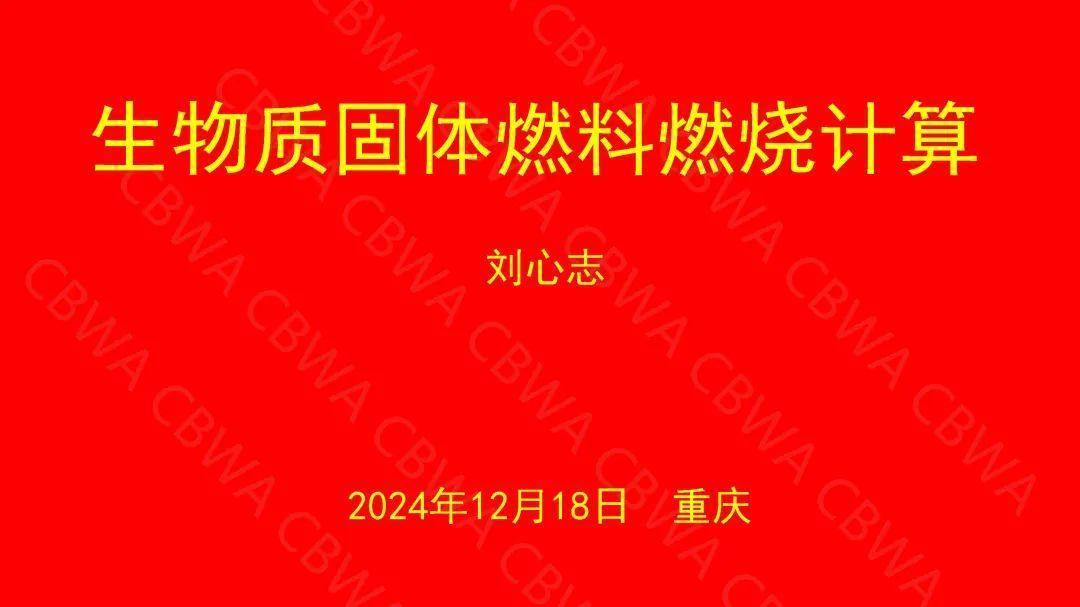 生物质固体燃料燃烧计算——刘心志