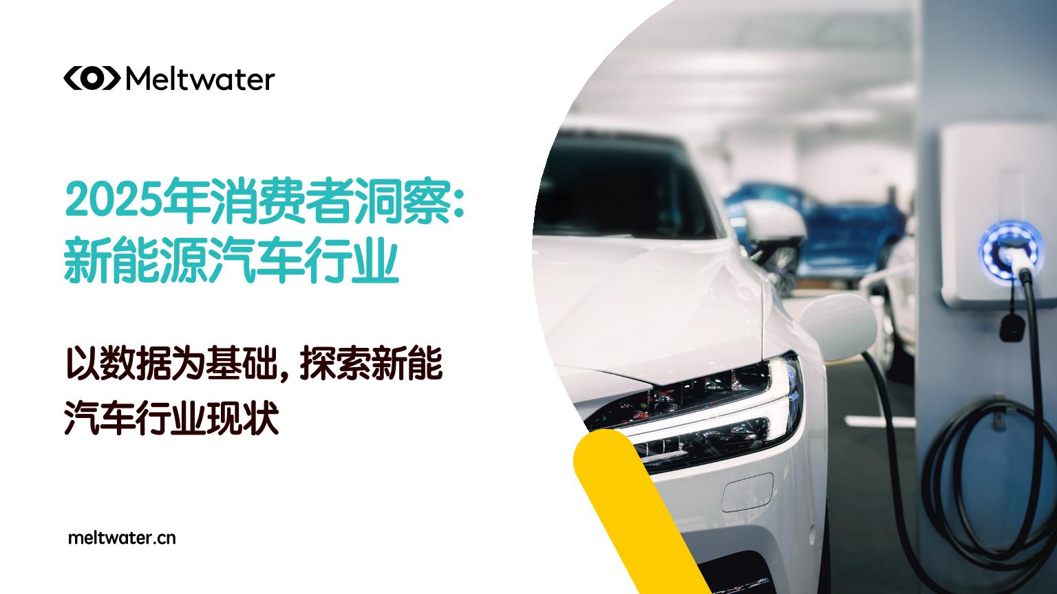 2025年消费者洞察报告：新能源汽车行业