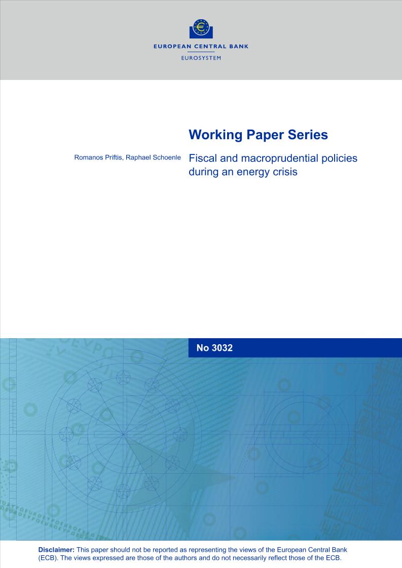 欧洲央行-能源危机期间的财政和宏观审慎政策（英）-2025-52页