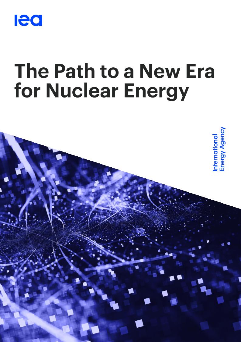 通往核能新时代的道路（英文版）