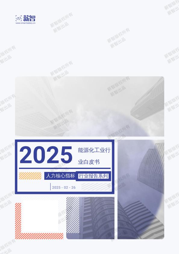 2025年能源化工业行业白皮书
