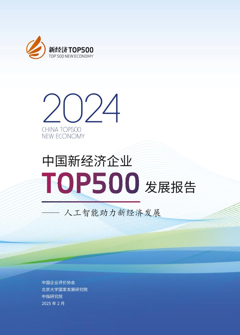 2024年中国新经济企业top500发展报告-中国企业评价协会北大中指-2025.2-123页