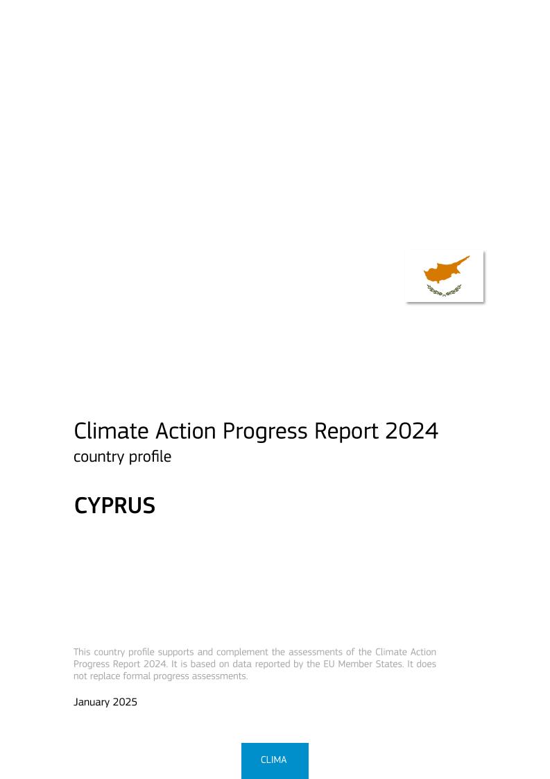 2024气候行动进展报告（英文版）