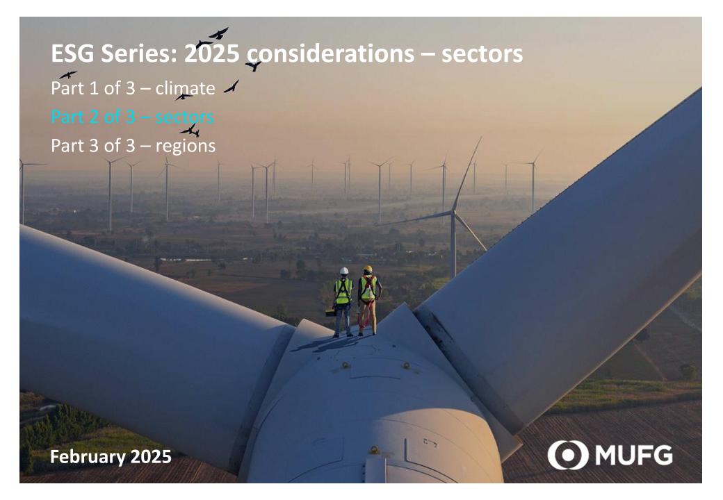 2025能源转型细分领域考虑事项报告（英文版）