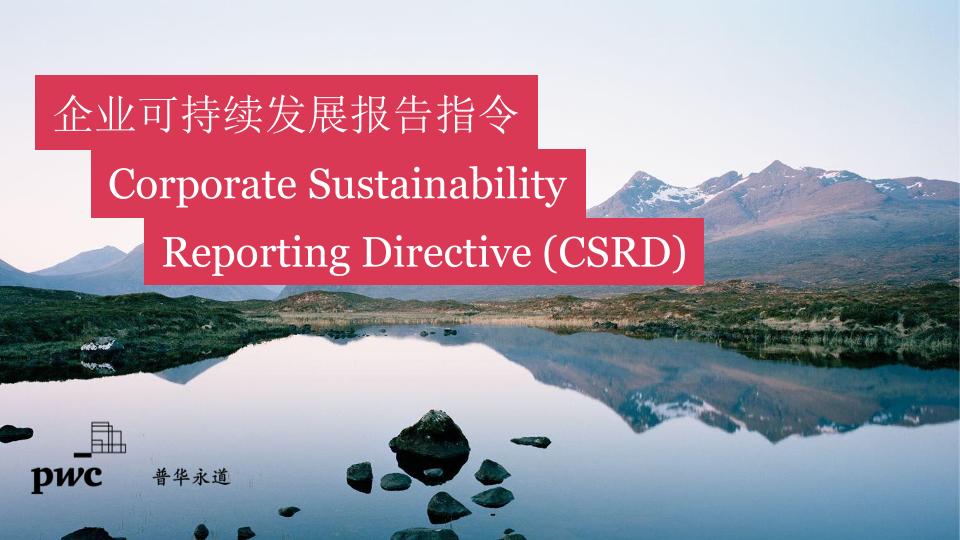 2025年企业可持续发展报告指令