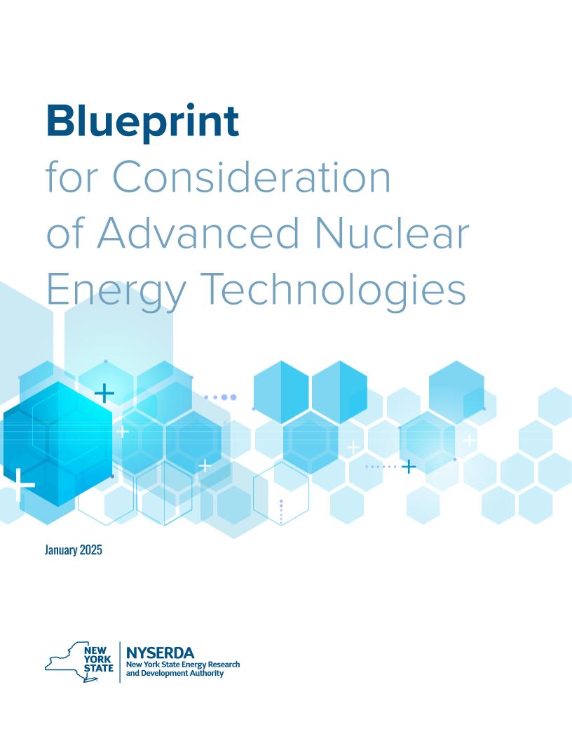 2025年先进核能技术考虑蓝图（英文版）