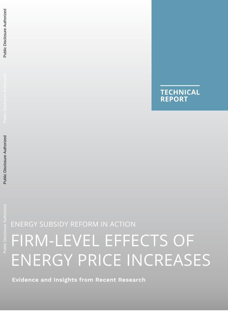 能源价格上涨对企业层面的影响（英文版）