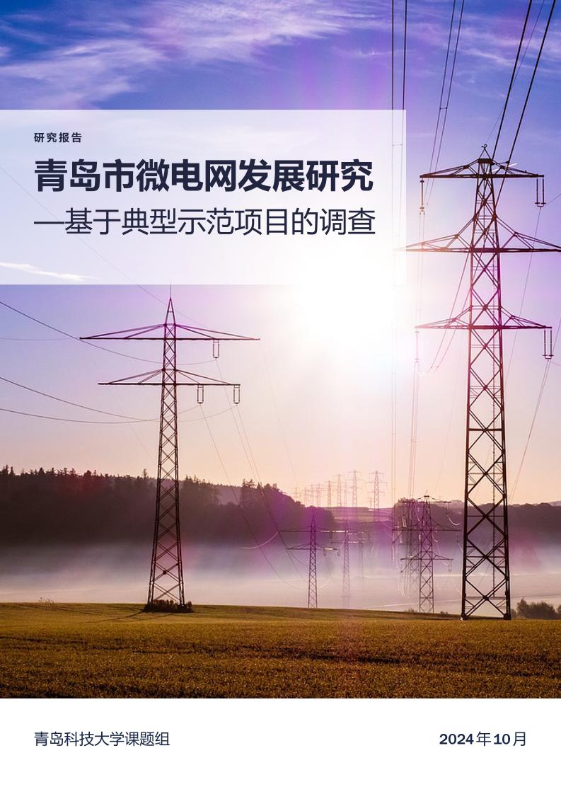 【调研报告】青岛市微电网发展研究——基于典型示范项目的调查