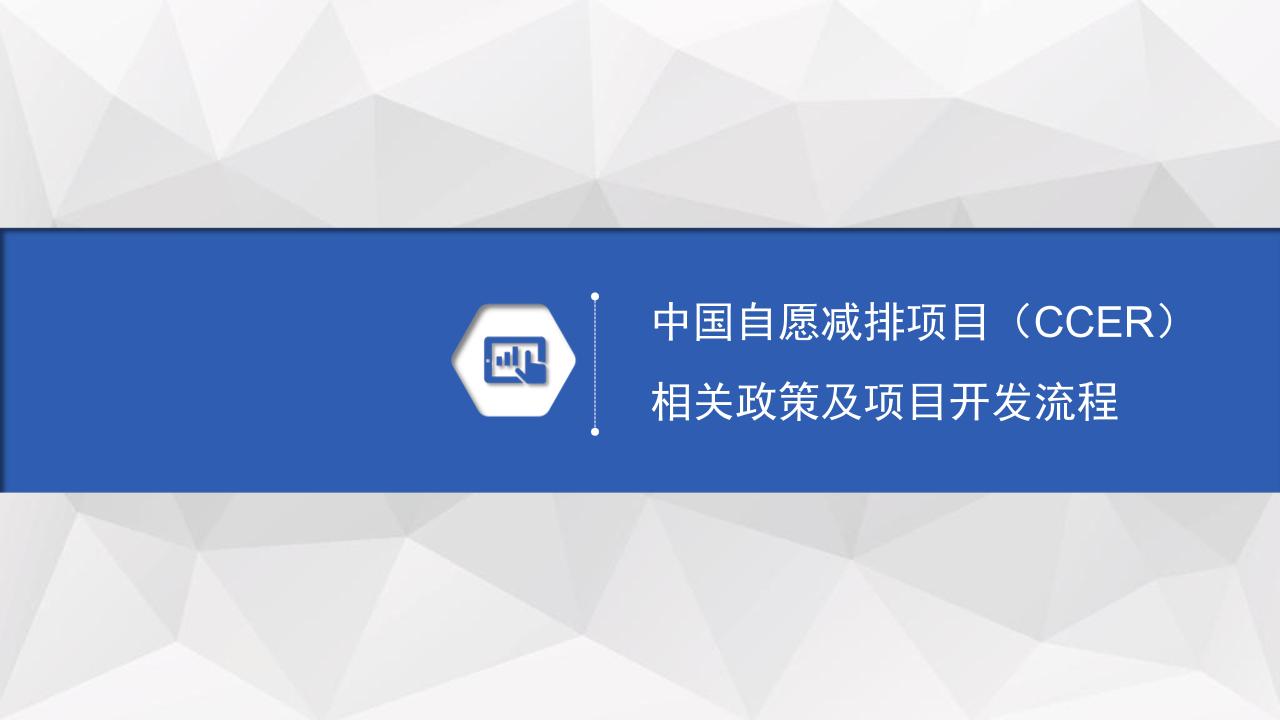【19页】中国自愿减排项目(CCER)相关政策及项目开发流程