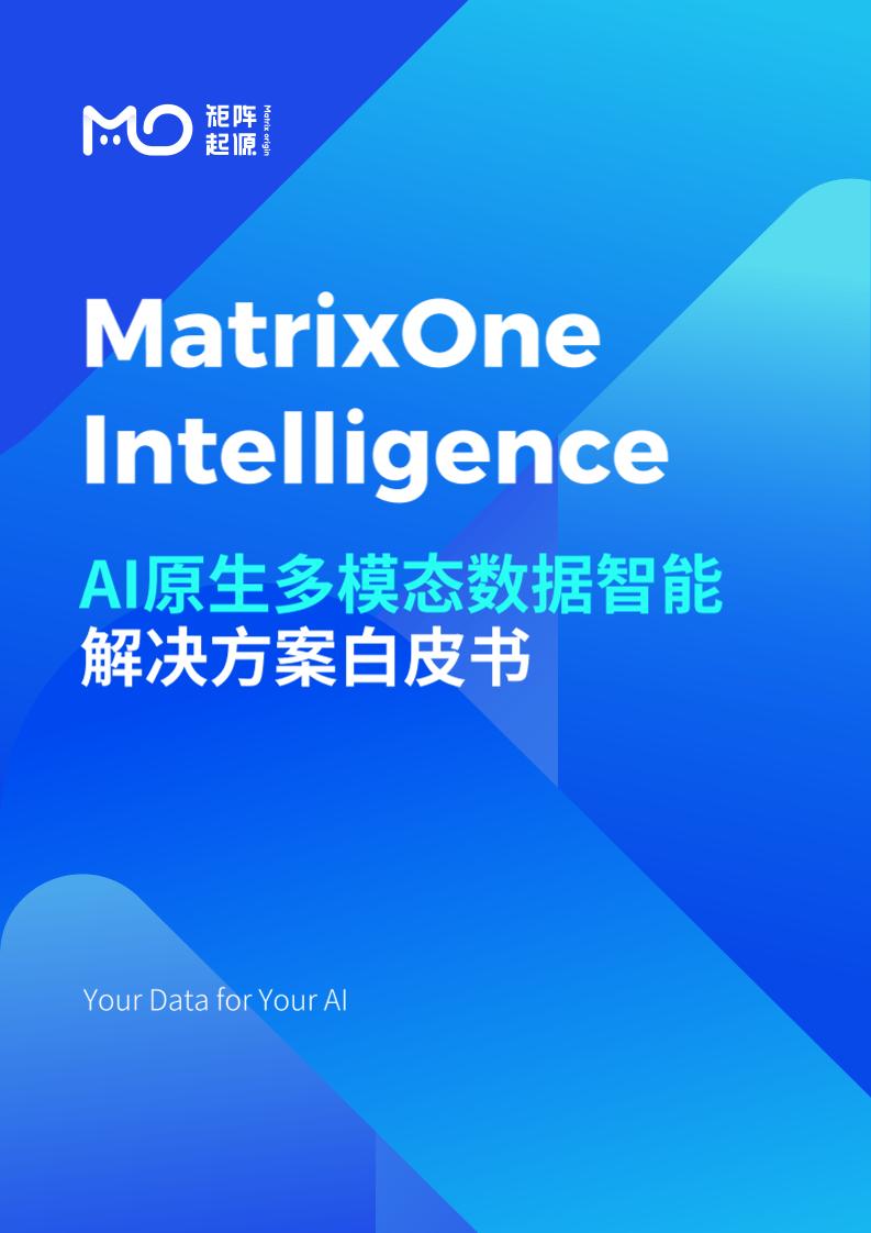 AI原生多模态数据智能解决方案白皮书