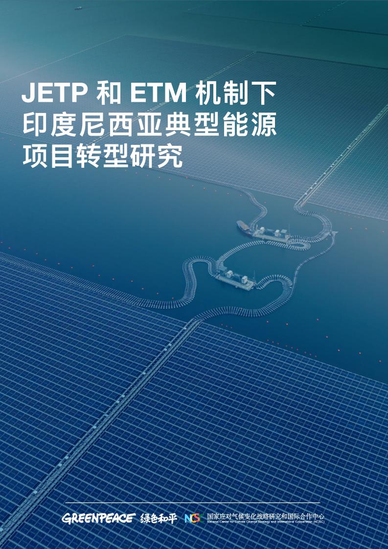 2025年JETP和ETM机制下印度尼西亚典型能源项目转型研究报告