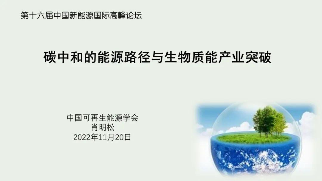 【应用案例】碳中和的能源路径与生物质能产业突破