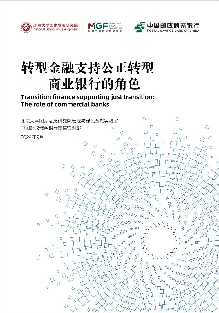 转型金融支持公正转型——商业银行的角色-38页