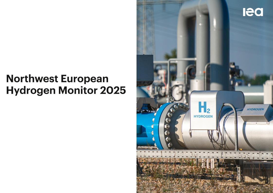 国际能源署IEA：西北欧氢能监测2025（英文版）
