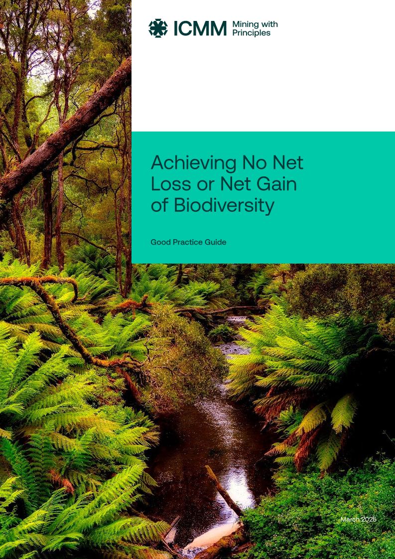 2025年综合矿井闭幕：良好实践指南报告（英文版）