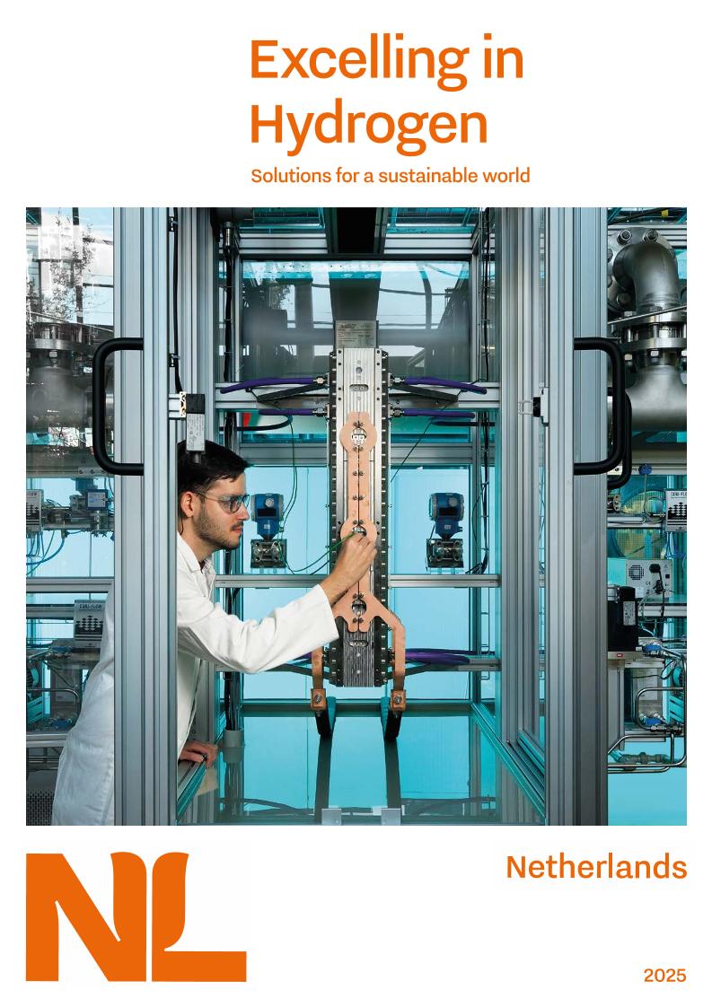 【推荐】2025年在氢领域卓越可持续世界的解决方案报告（英文版）