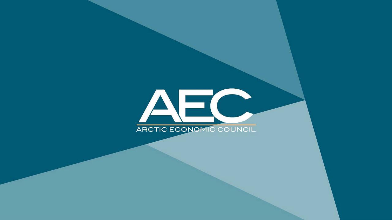 2024年北极采矿业报告（英文版）