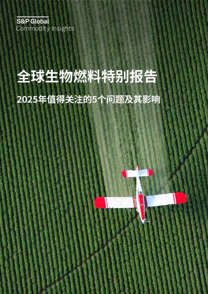 全球生物燃料特别报告：2025年值得关注的5个问题及其影响