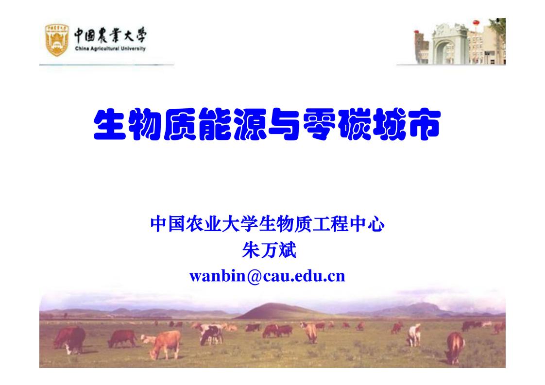 生物质能源与零碳城市