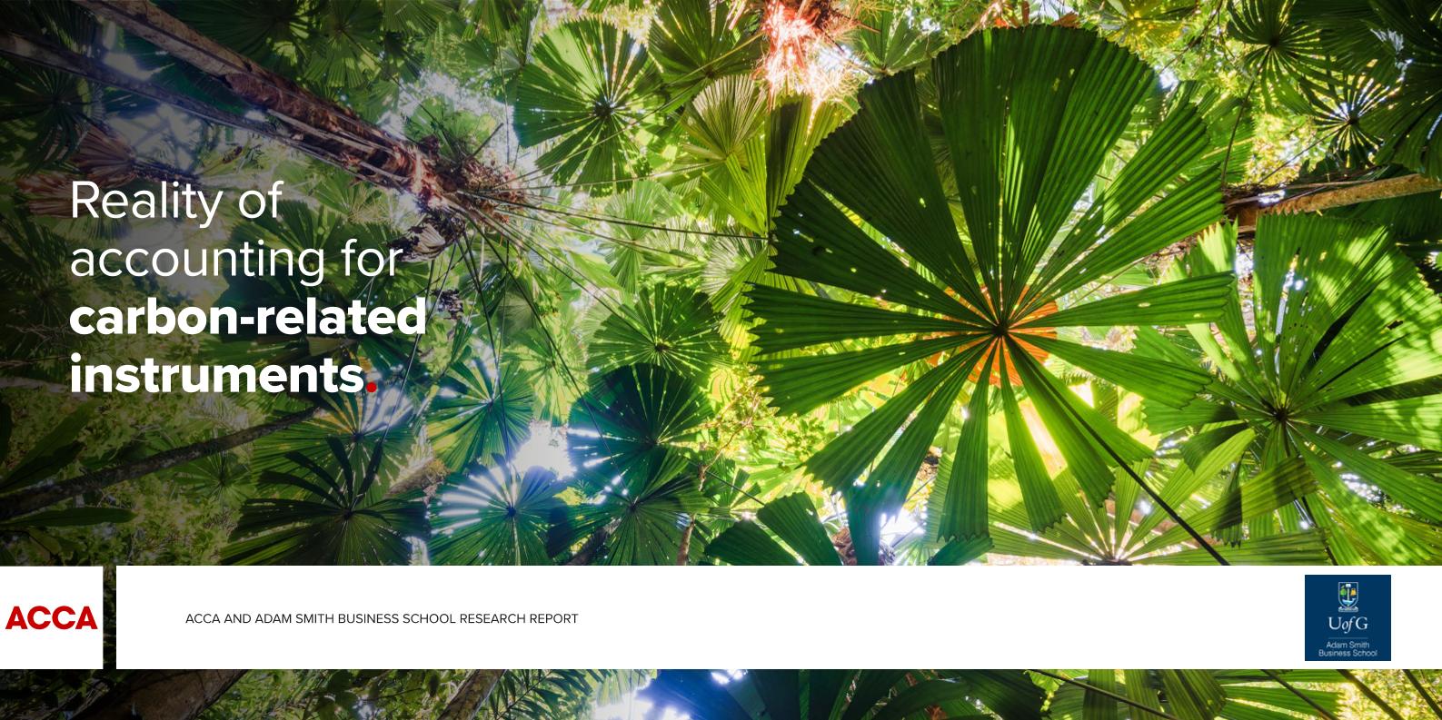 【推荐】2025年碳相关工具的会计处理现状报告（英文版）