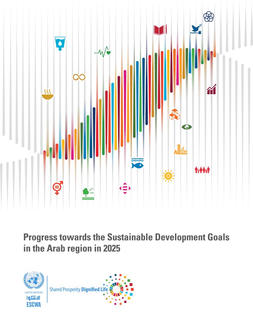 2025年阿拉伯地区实现可持续发展目标的进展情况报告（英文版）