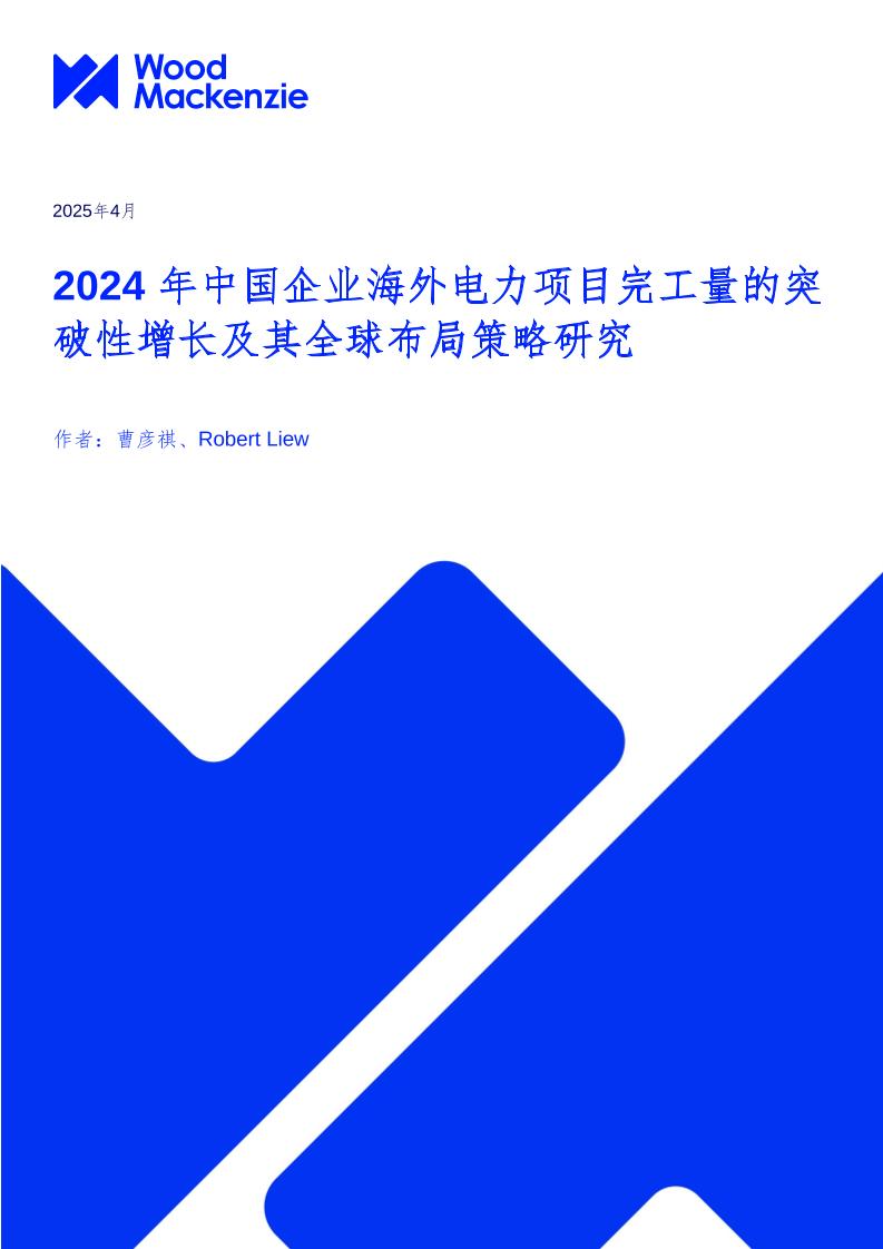 中国企业的全球电力市场布局策略研究