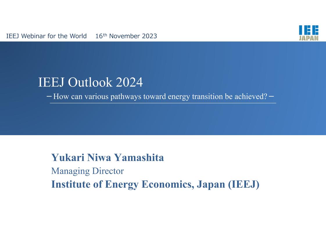 15.日经所《全球能源展望报告2024》