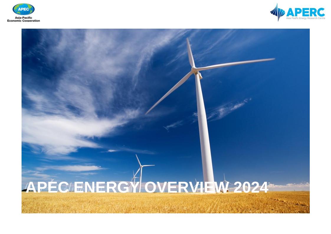 12.APERC《2024年能源展望报告》