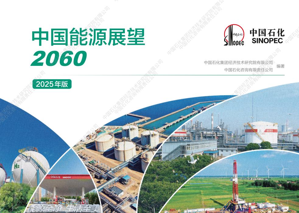 1.中石化：中国能源展望2060（2025年版）