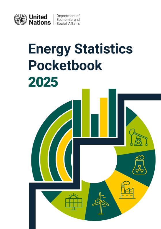 全球能源统计口袋书2025（英文版）