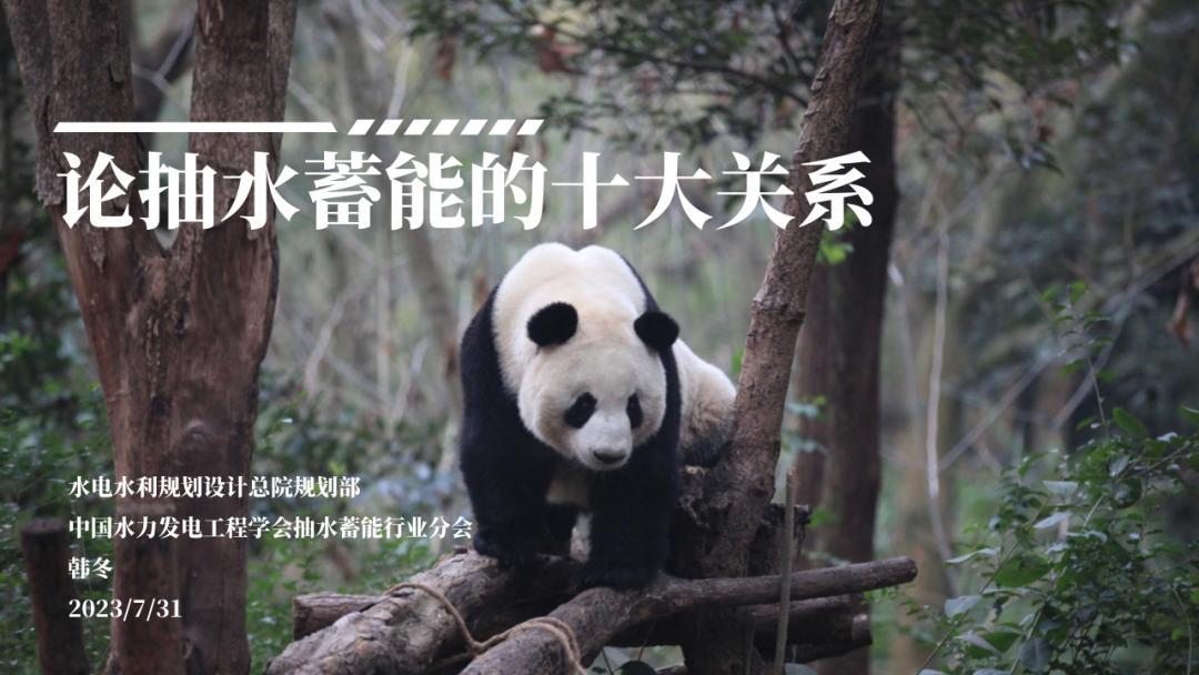 【专家PPT】韩冬：论抽水蓄能的十大关系-20230731-水电水利规划设计总院
