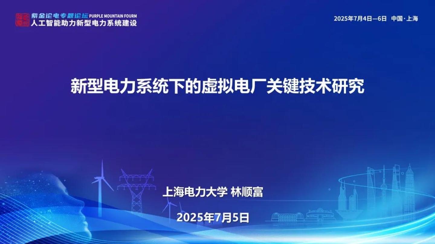 上海电力大学（林顺富）：2025年新型电力系统下的虚拟电厂关键技术研究报告
