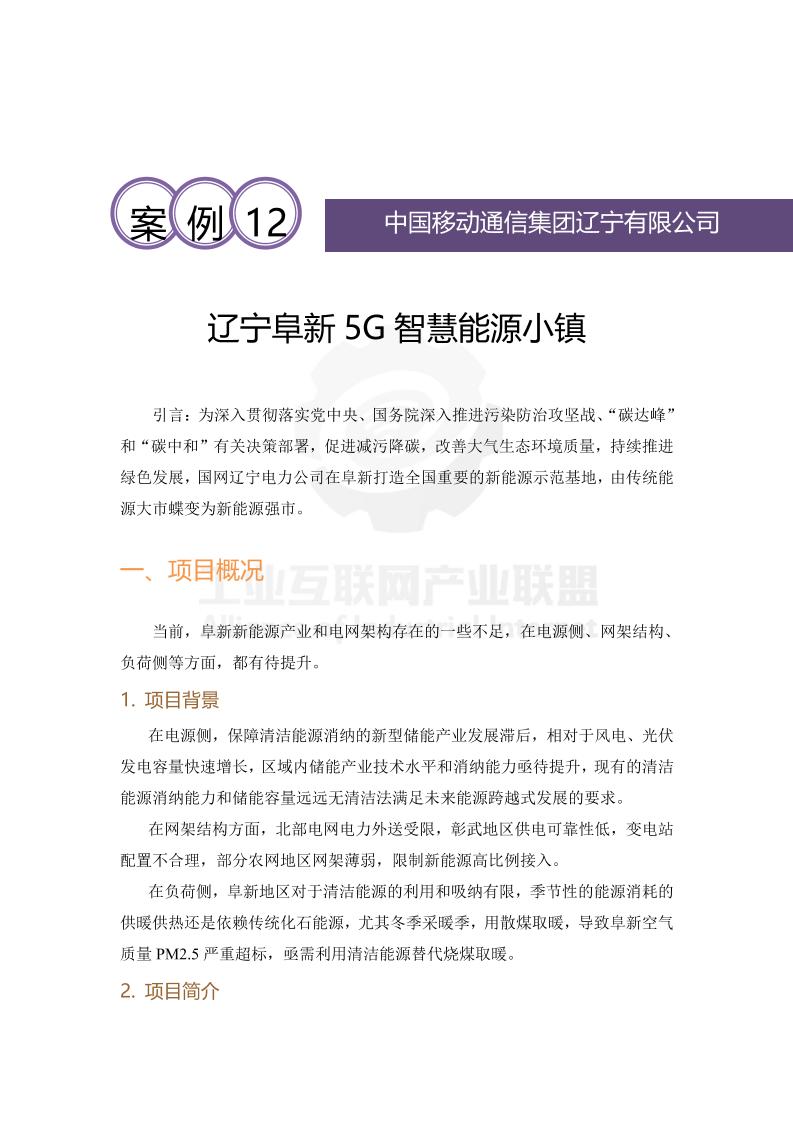 工业互联网产业联盟：2025年辽宁阜新5G智慧能源小镇