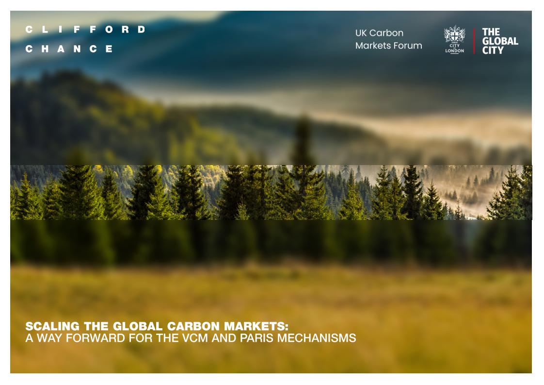 【推荐】TheGlobalCity：2025年扩大全球碳市场报告（英文版）