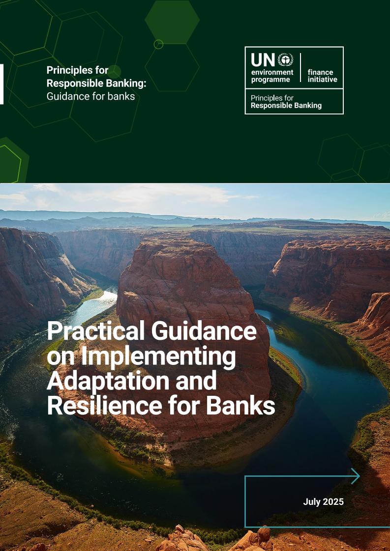 Unepfi：2025年银行实施适应和韧性指南报告（英文版）