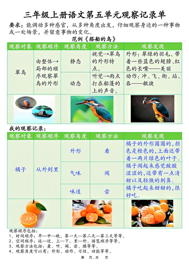 三上语文第五单元观察记录单（空白 答案14页）-七宝：认真做好一件事