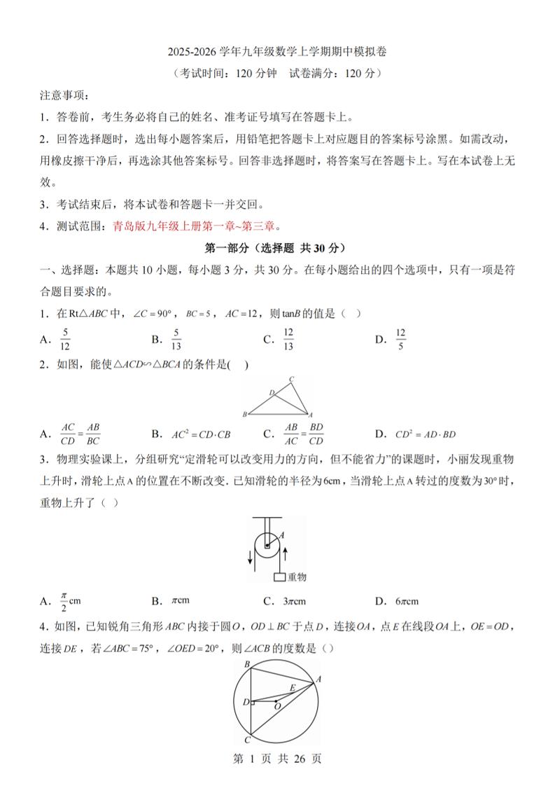 九年级上数学期中模拟卷（青岛版）-七宝：认真做好一件事